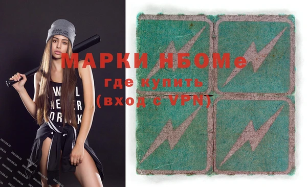 шишки Алексин