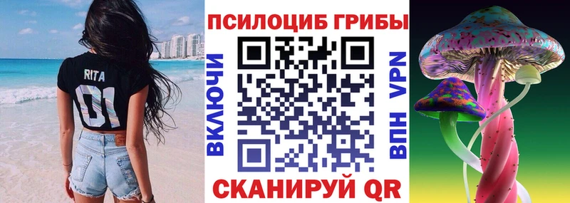 Галлюциногенные грибы Psilocybe  mega маркетплейс  Биробиджан  купить закладку 