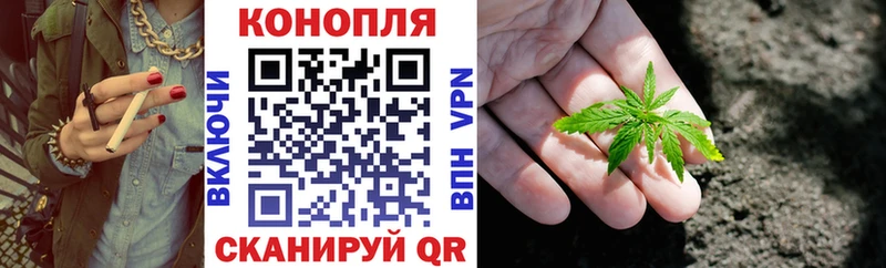 Бошки марихуана план Биробиджан